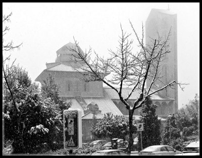 Pozuelo nieve -enero 2009-137.jpg