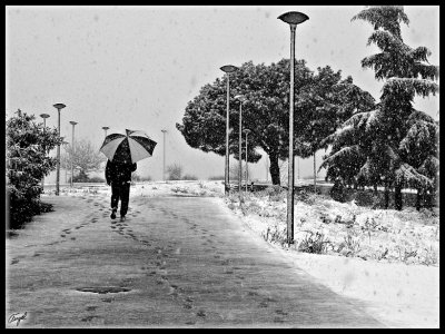 Pozuelo nieve -enero 2009-140.jpg