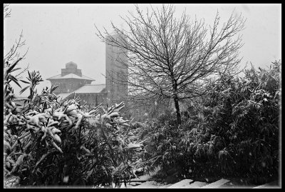 Pozuelo nieve -enero 2009-147.jpg