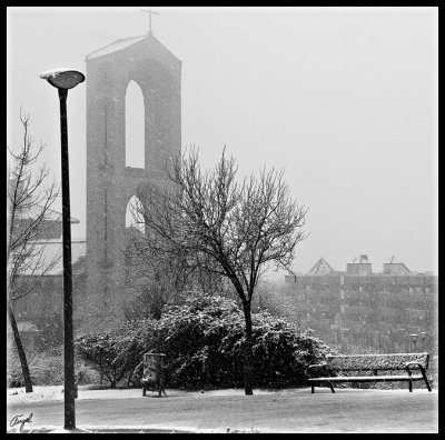 Pozuelo nieve -enero 2009-152b.jpg