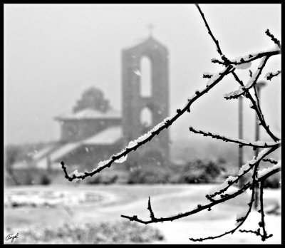 Pozuelo nieve -enero 2009-166.jpg