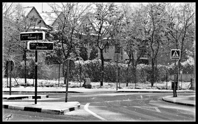 Pozuelo nieve -enero 2009-177.jpg