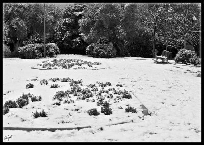 Pozuelo-Nieve-2009-023.jpg