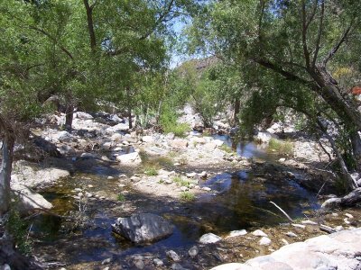 Sabino Canyon, Tucson, AZ