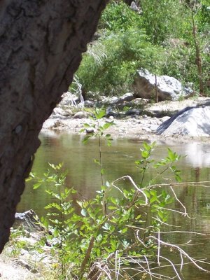 Sabino Canyon, Tucson, AZ