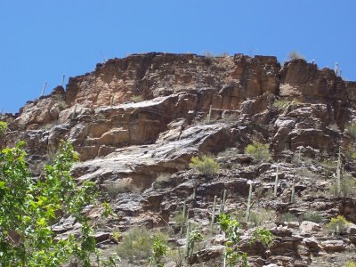 Sabino Canyon, Tucson, AZ