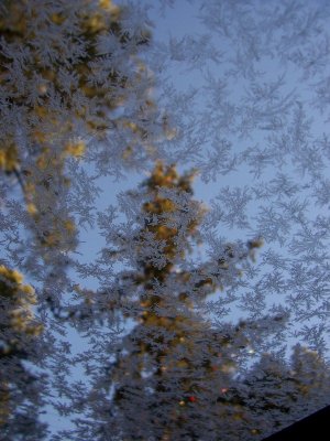Beautiful Frost on the Sunroof