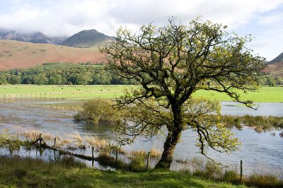 Buttermere
