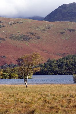 Buttermere