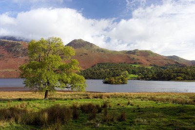Buttermere