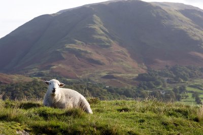 Buttermere