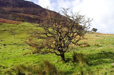 Buttermere