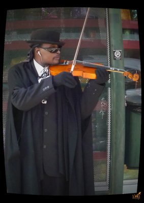 El violinista