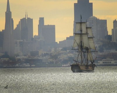 Martha (replica)