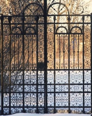 detail of gate