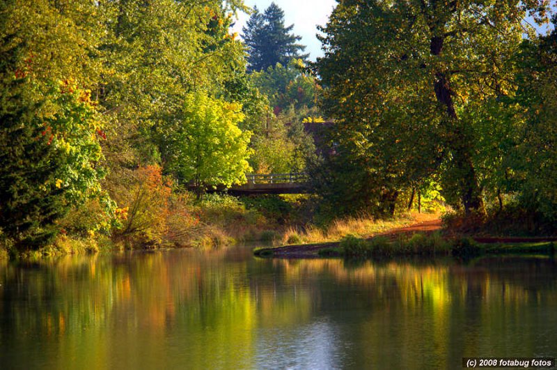 Alton Baker Park scene