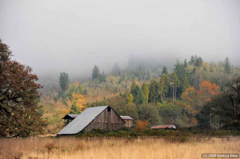 Fog in the hills