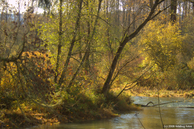 Riverside Beauty