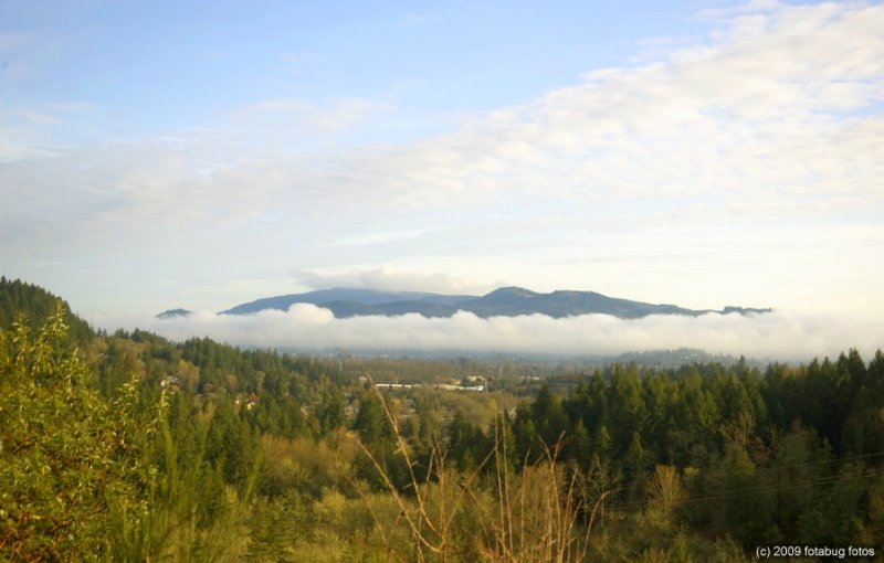 Floating On Clouds