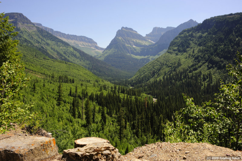D3-072109_102.jpg
