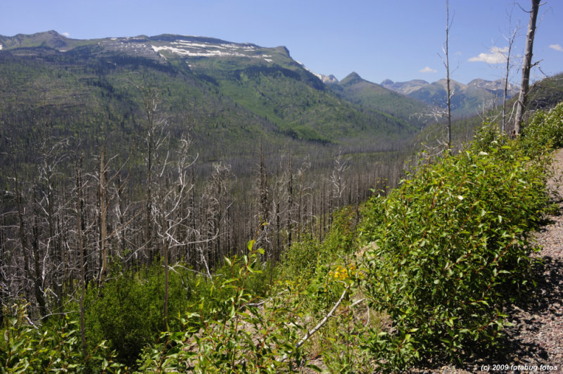 D3-072109_117.jpg