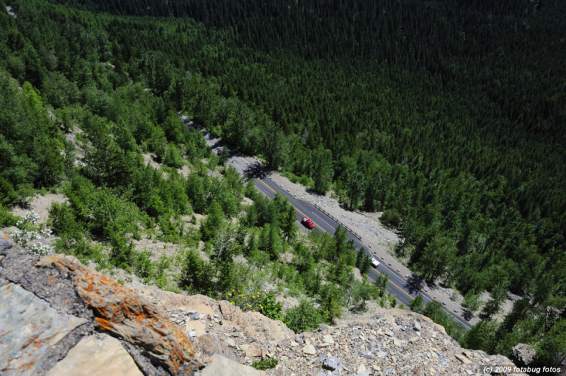 D3-072109_141.jpg