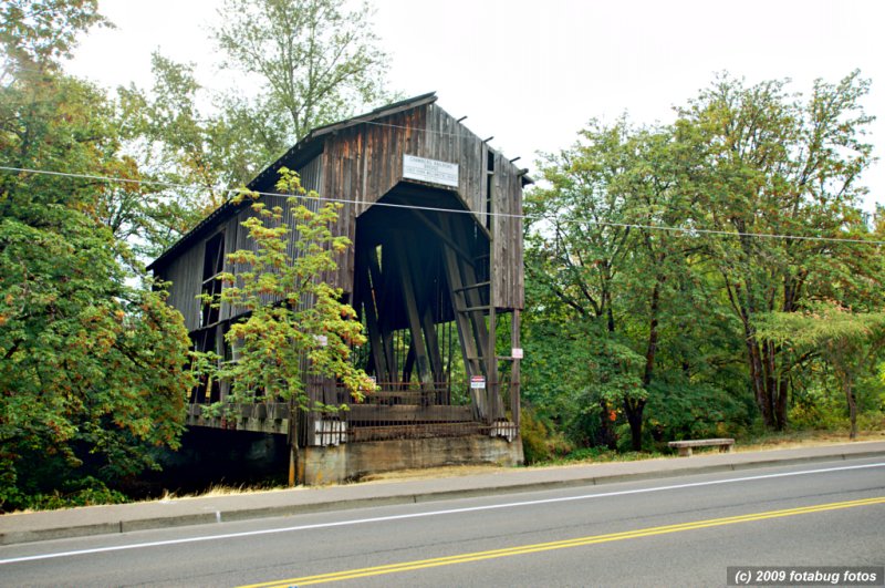 D3-082809_107.jpg