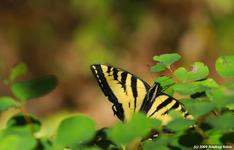 D3-080909_050.jpg