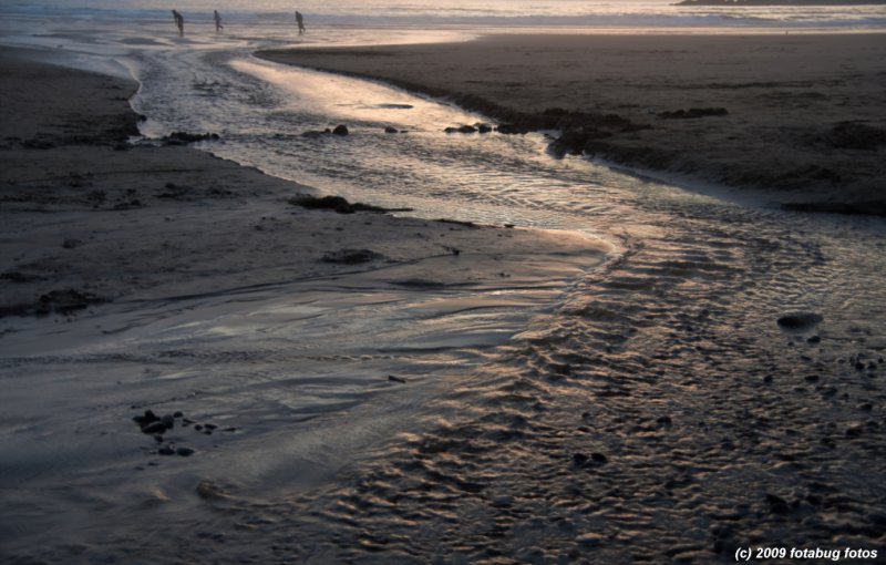 D3-090309_236.jpg