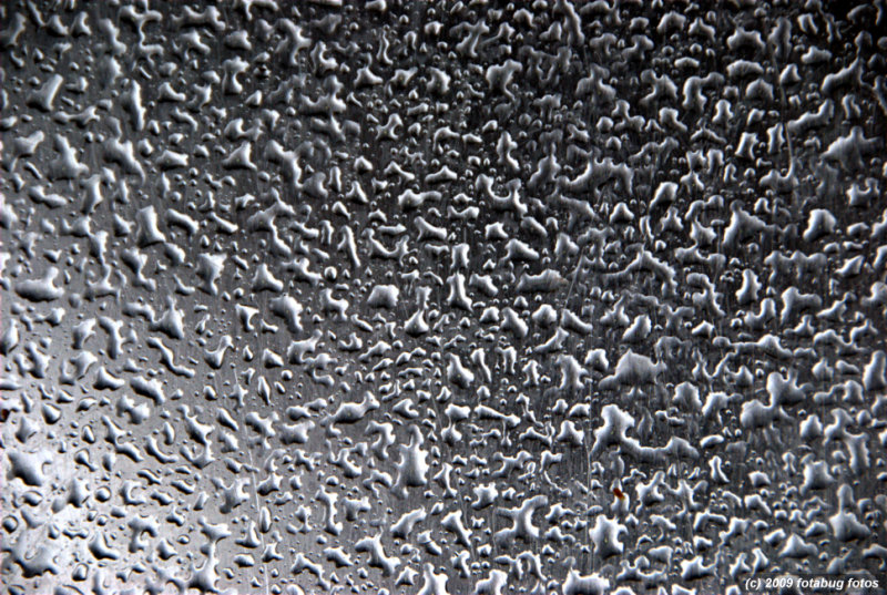 D200-091909_096.jpg