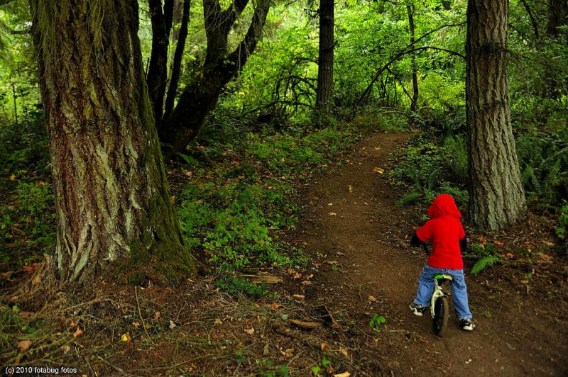 If You Go Into The Woods Today.........