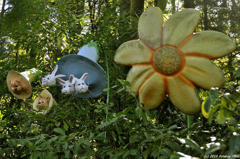 D5000-092510-021.jpg