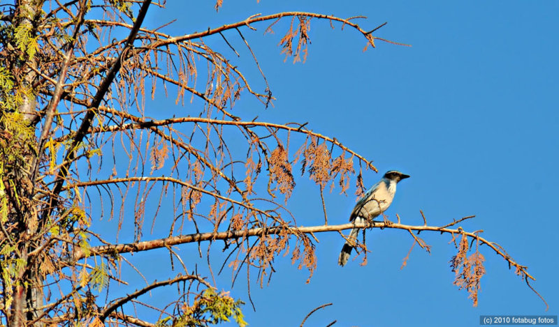 D700-101910-067.jpg