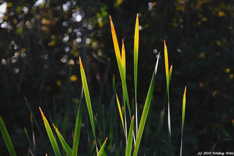 D700-102110-107.JPG