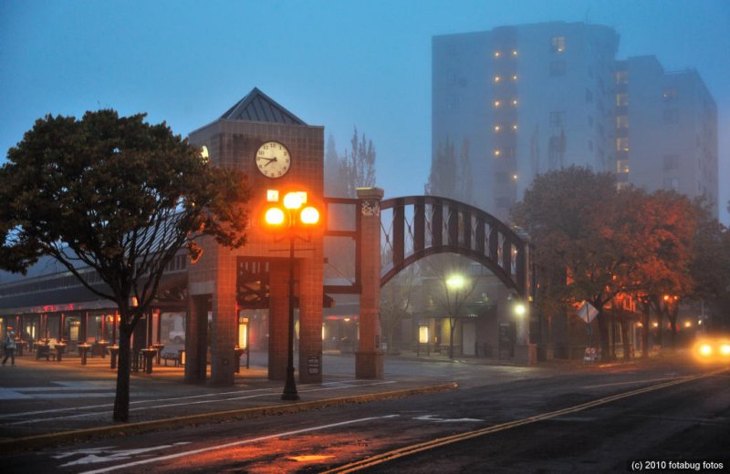 Eugene Transit Station