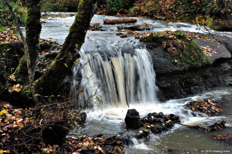 Falls On Hills Creek At Jasper, Oregon