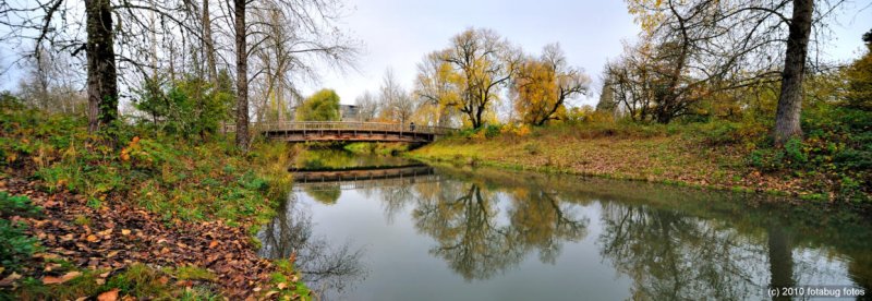 Fall Scene - Alton Baker Park