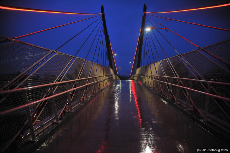 The New Delta Ponds Footbridge