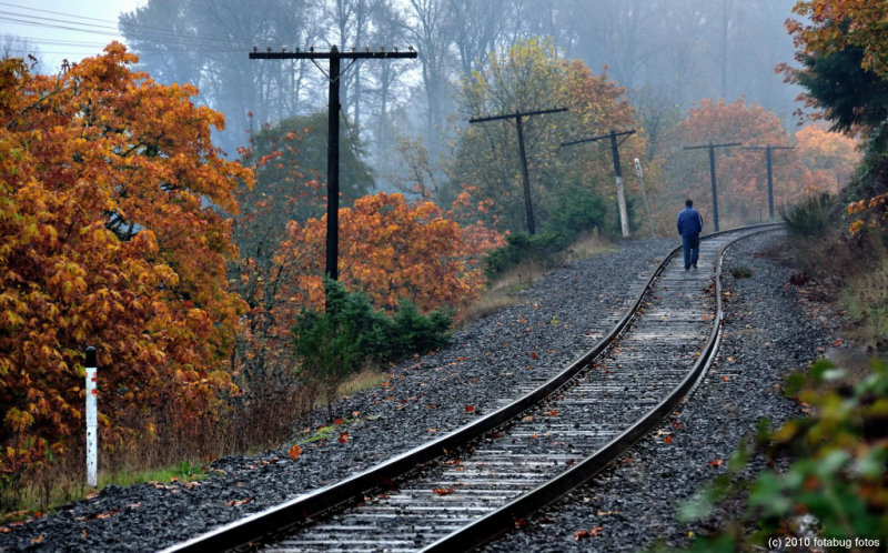 Walking the Tracks