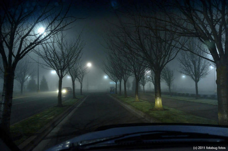Passing In The Night