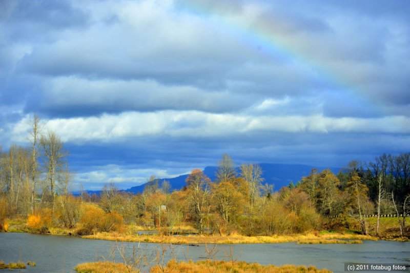 Rainbow Over Delta Ponds