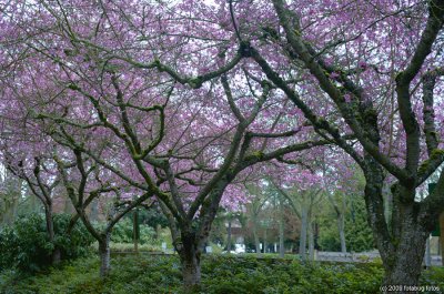 D3-032009_033-TK.jpg