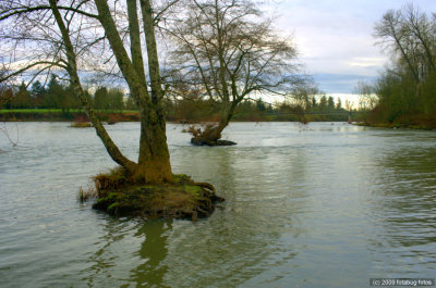 D3-032009_071-TK.jpg