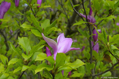 D3-050509_020.jpg