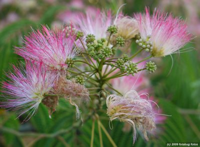 Spiked hair