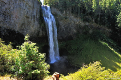 Salt Creek Falls - Second Highest In Oregon