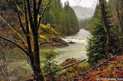 North Fork of the Middle Fork of the Willamette River
