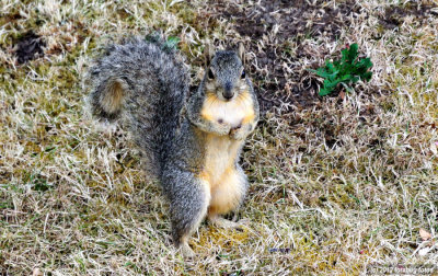 OK!  Put down the camera or put up your dukes!