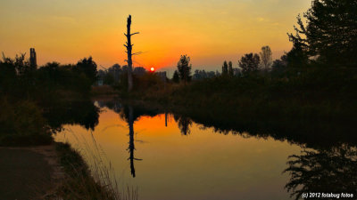 Sunrise in Alton Baker Park