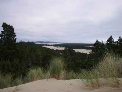 Sand Dunes